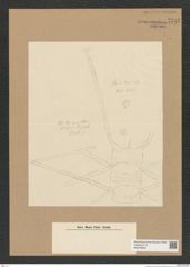 Diatomeae indet. Zeichnungen Sammlung Grunow Nr. 7747 (NHMW-BOT-W0376969)